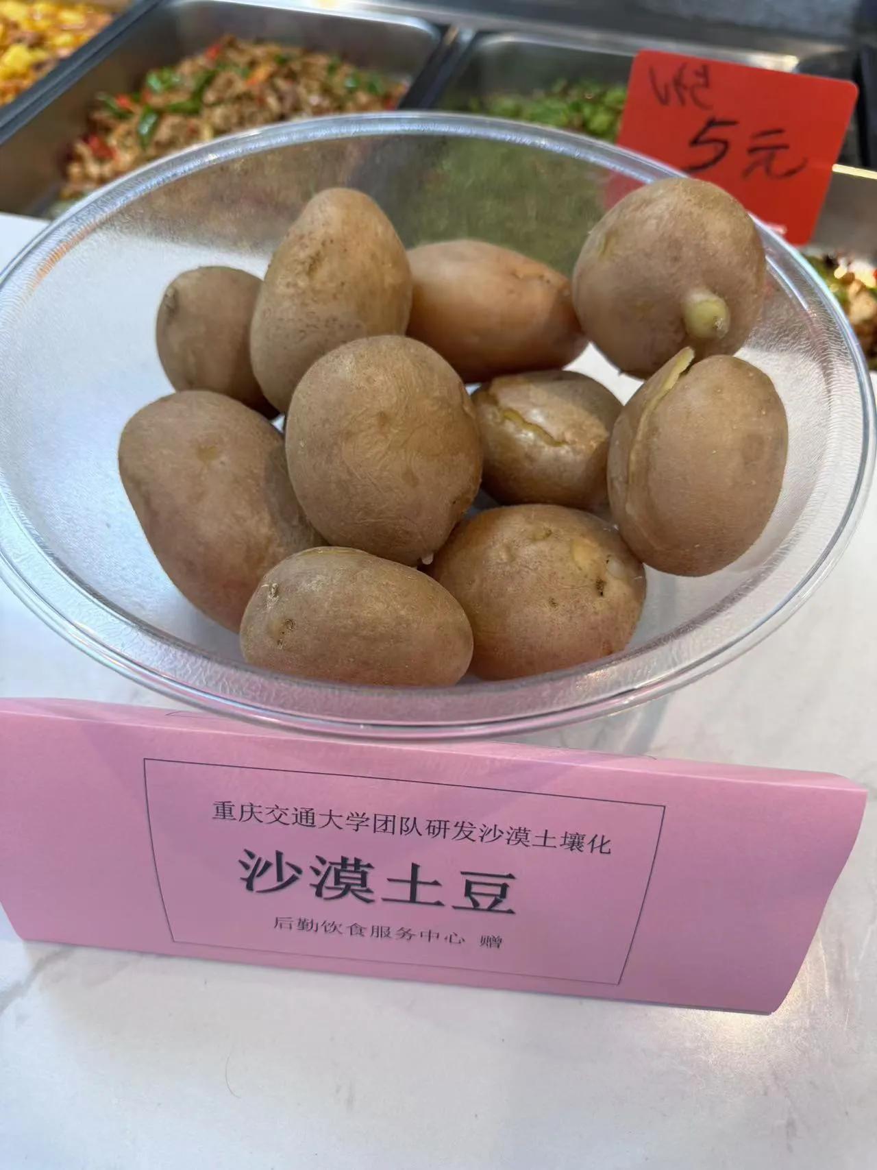 这无疑是科技力量的真实展现！重庆交通大学在沙漠中成功培育出土豆，更令人欣喜的是，
