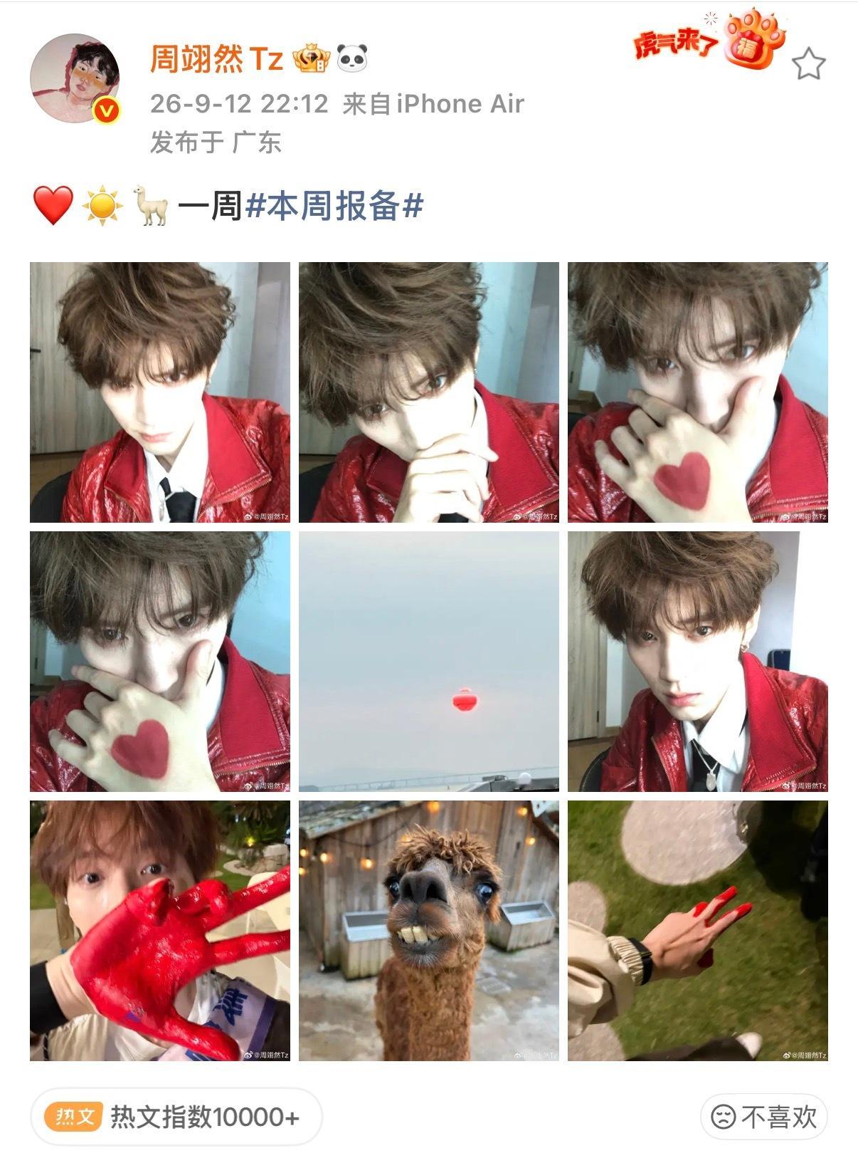 啊啊啊啊啊啊我看到这张图的第一反应belike:周翊然发了张好诡异的羊驼 ​​​