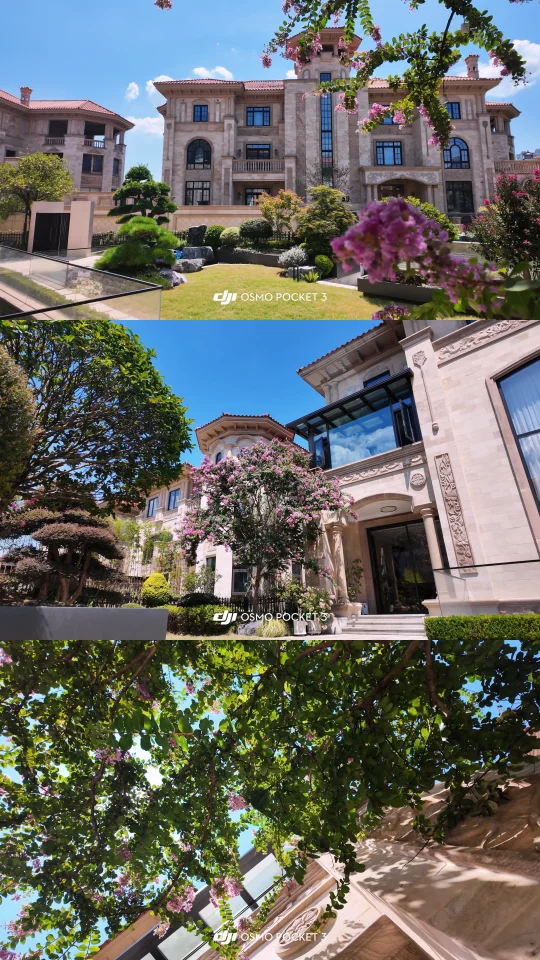 我的家是一个巨大的能量场