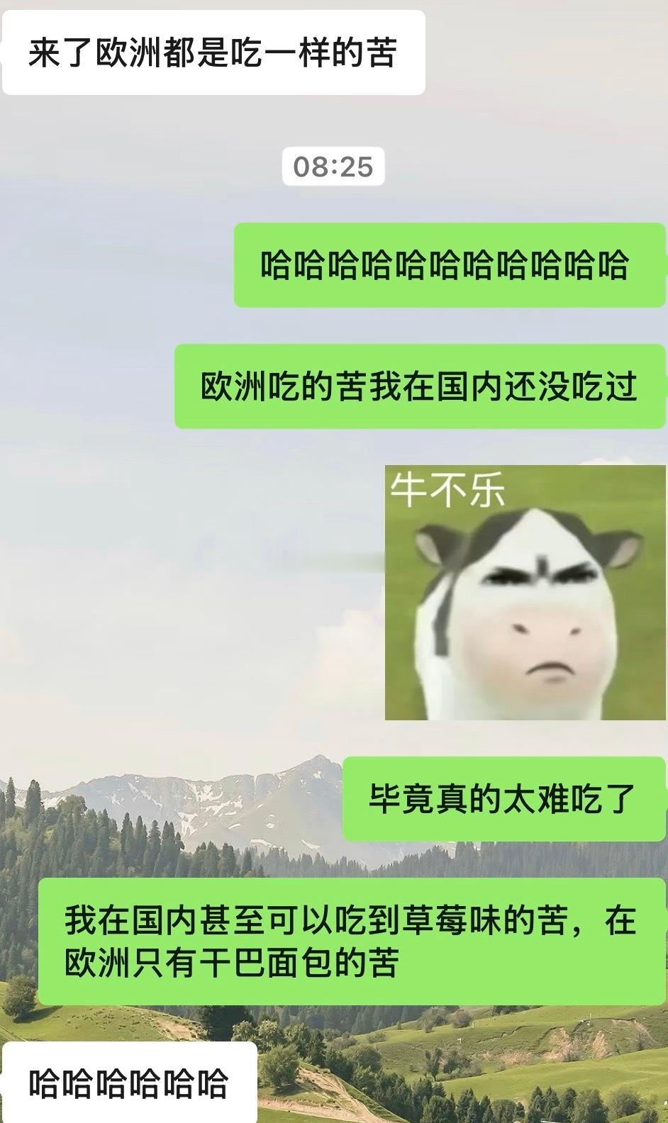 太苦了 