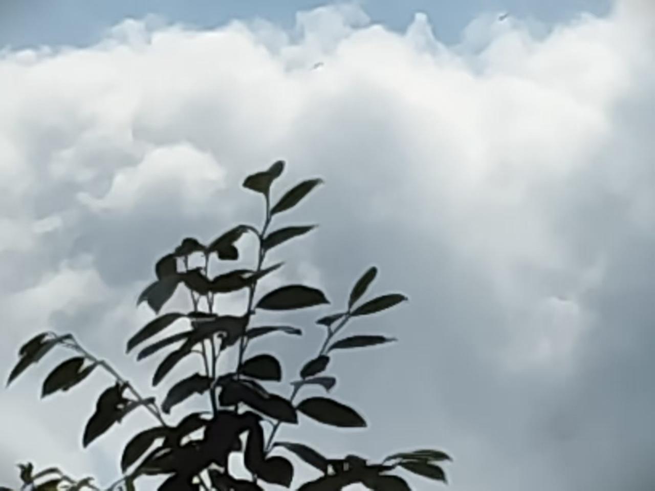 分享随手一拍的天空天津滨海新区天空景色。