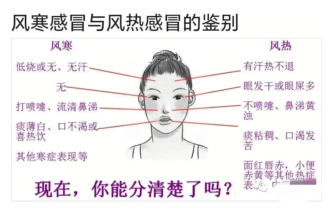 风寒感冒和风热感冒虽然都是感冒，但症状和治疗方法却大不相同。如何区分呢？今天我们