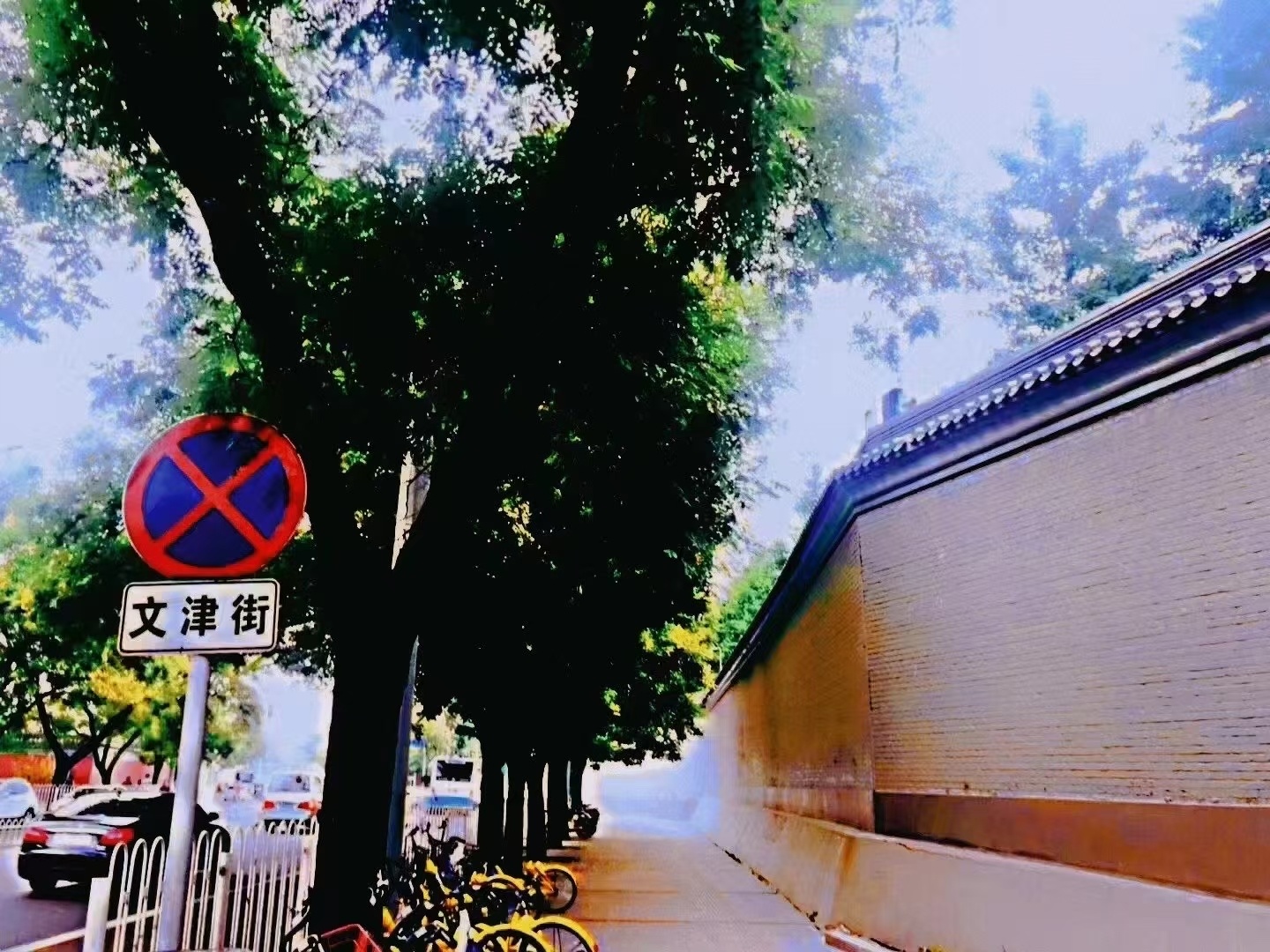 18年前·青春年少18年后·芳华依旧念昨日，惜今朝，奔明天灼灼韶华，风禾尽起桃李