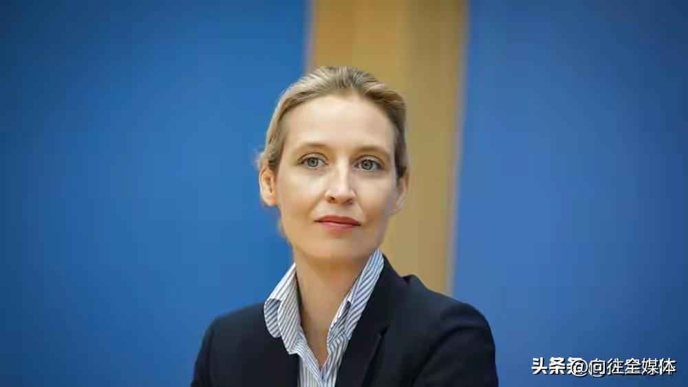 国家利益高于一切！德国铁娘子撕破遮羞布：泽连斯基，赶快赔钱！
 
北溪管道爆炸过