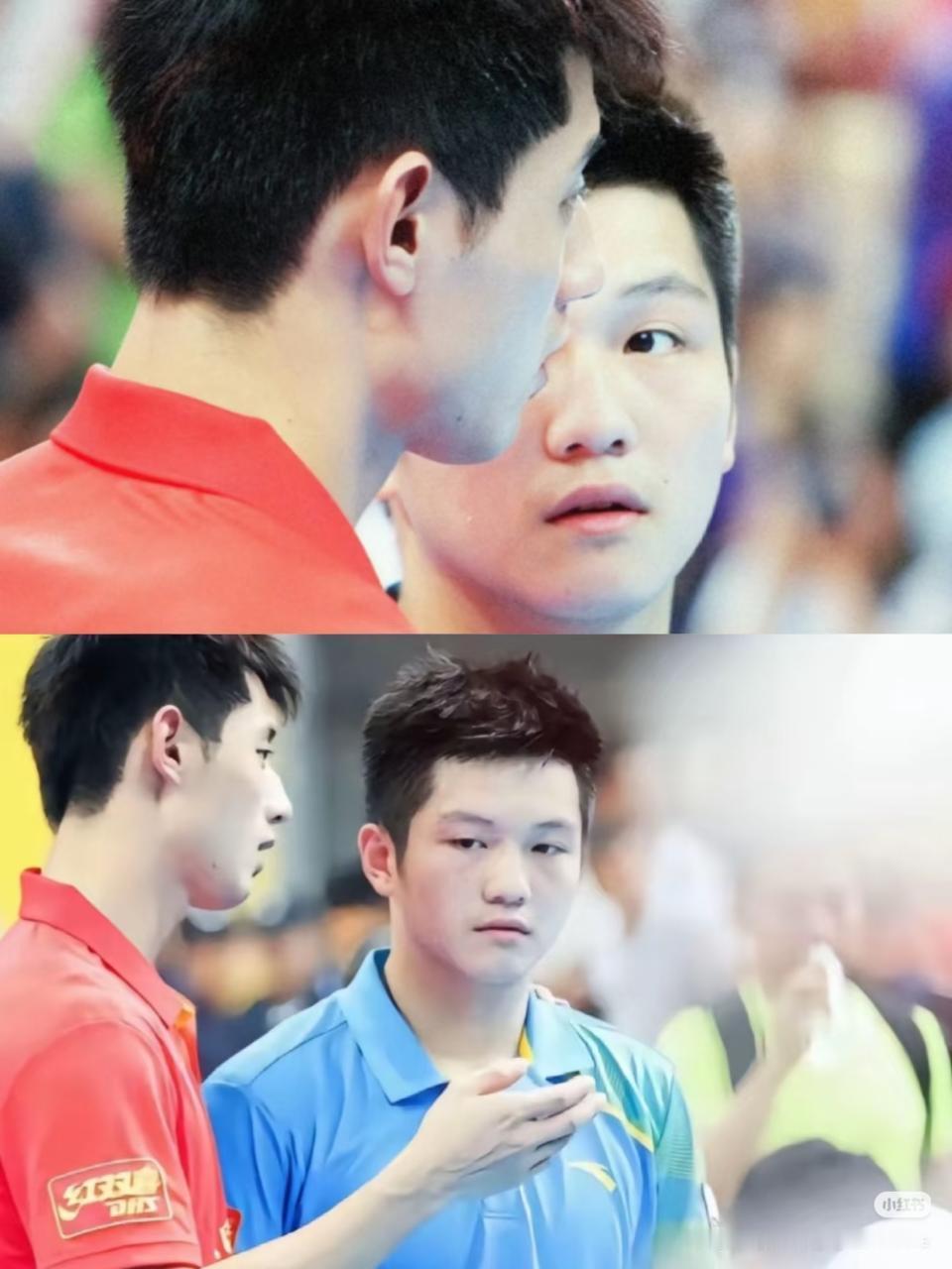 每日一🐶🐼35112 