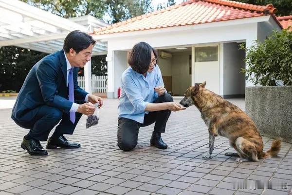 蔡英文“自制牛肉干”    送给赖清德2只爱犬
