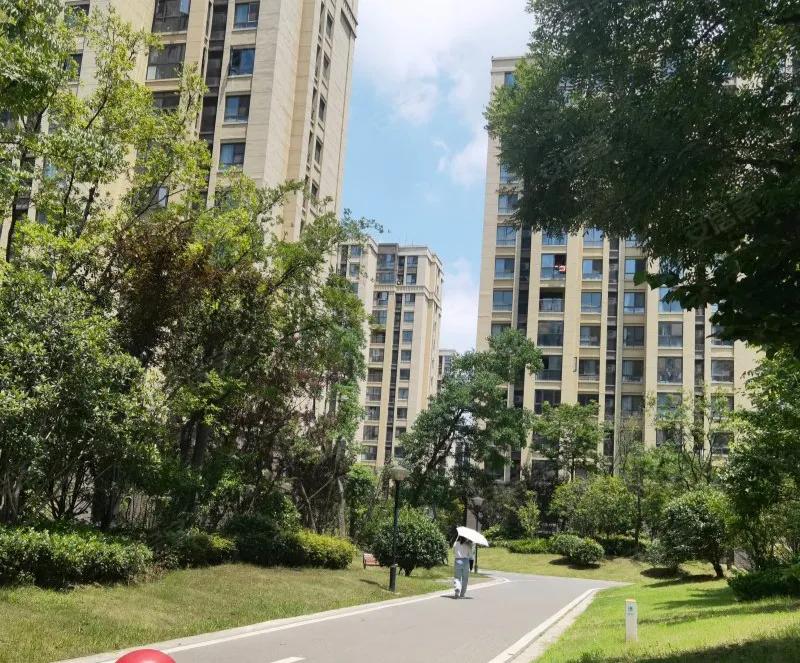 同事的大姑姐，做生意赔了110多万，哭着回娘家借钱，公婆说要卖同事家130多万的