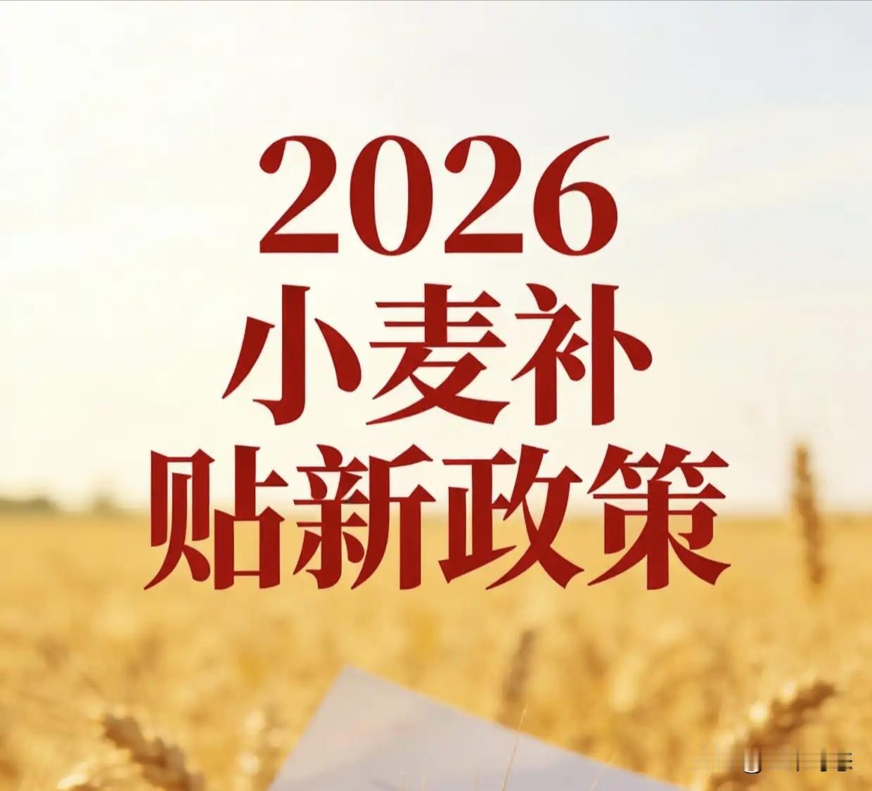 3个信号看懂山东小麦补贴，第2个最让人意外

山东这次拟补助160个小麦品牌，消