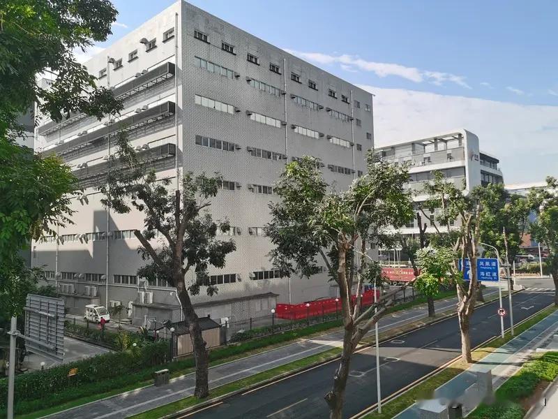 香港突发黄金大劫案，价值超半个亿的黄金被抢！
9月17日上午11点多，红磡鹤园东