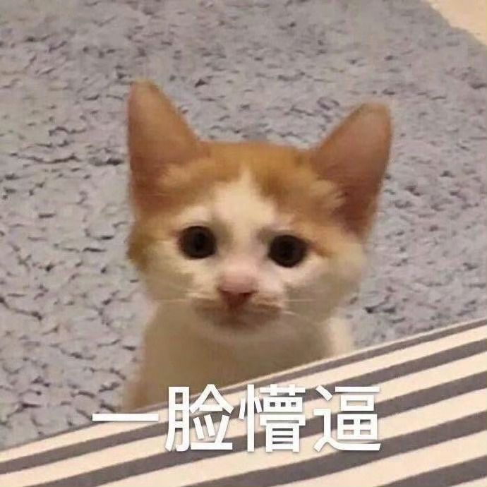 wk 宋威龙你…… 