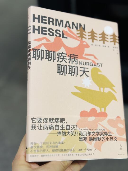 低谷期读烂黑塞这本书‼️捧腹大笑到忘记伤痛
