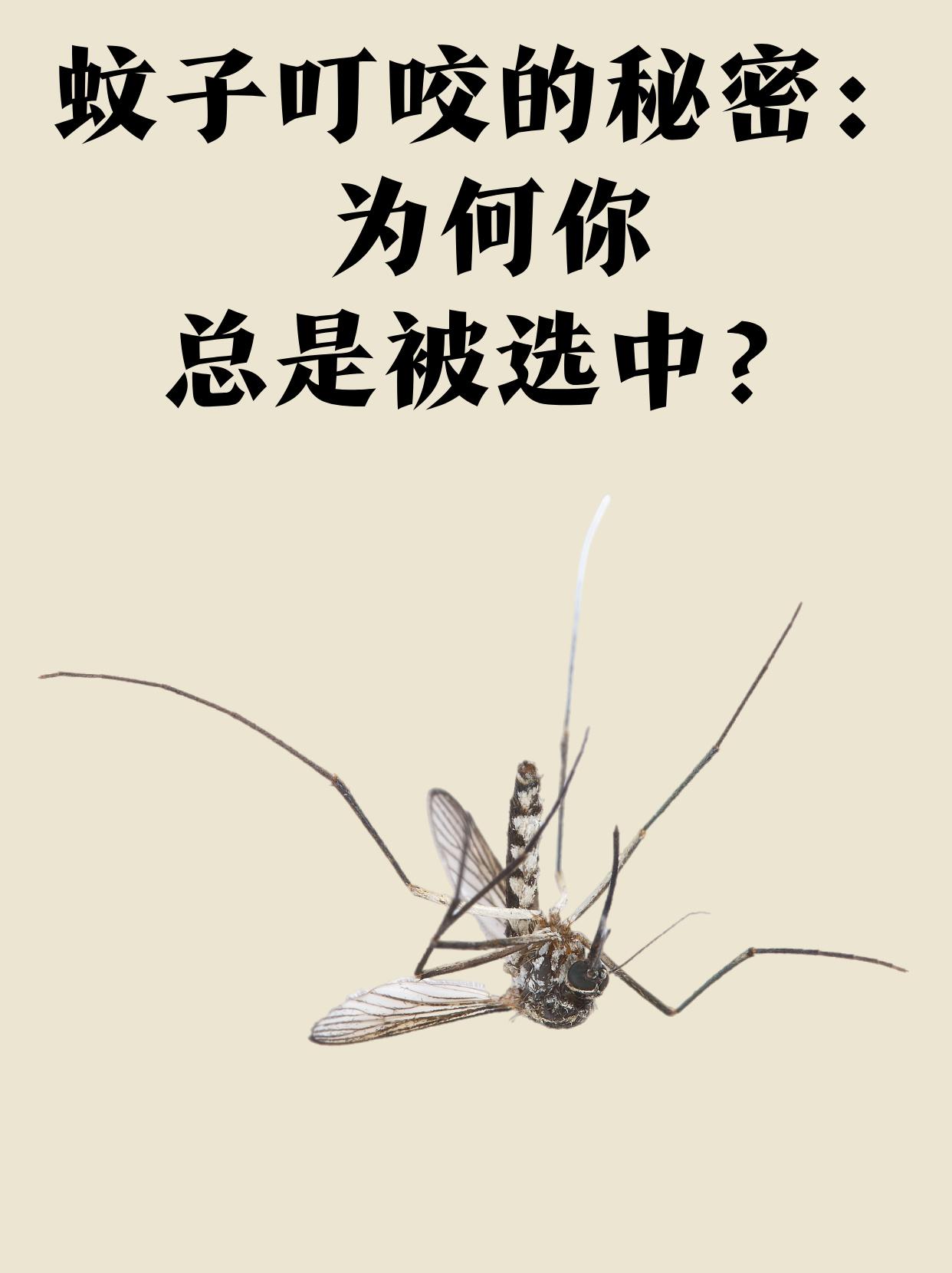 你为啥总被蚊子选中？
      首先，蚊子偏爱体温高、爱出汗的人。运动后大汗淋
