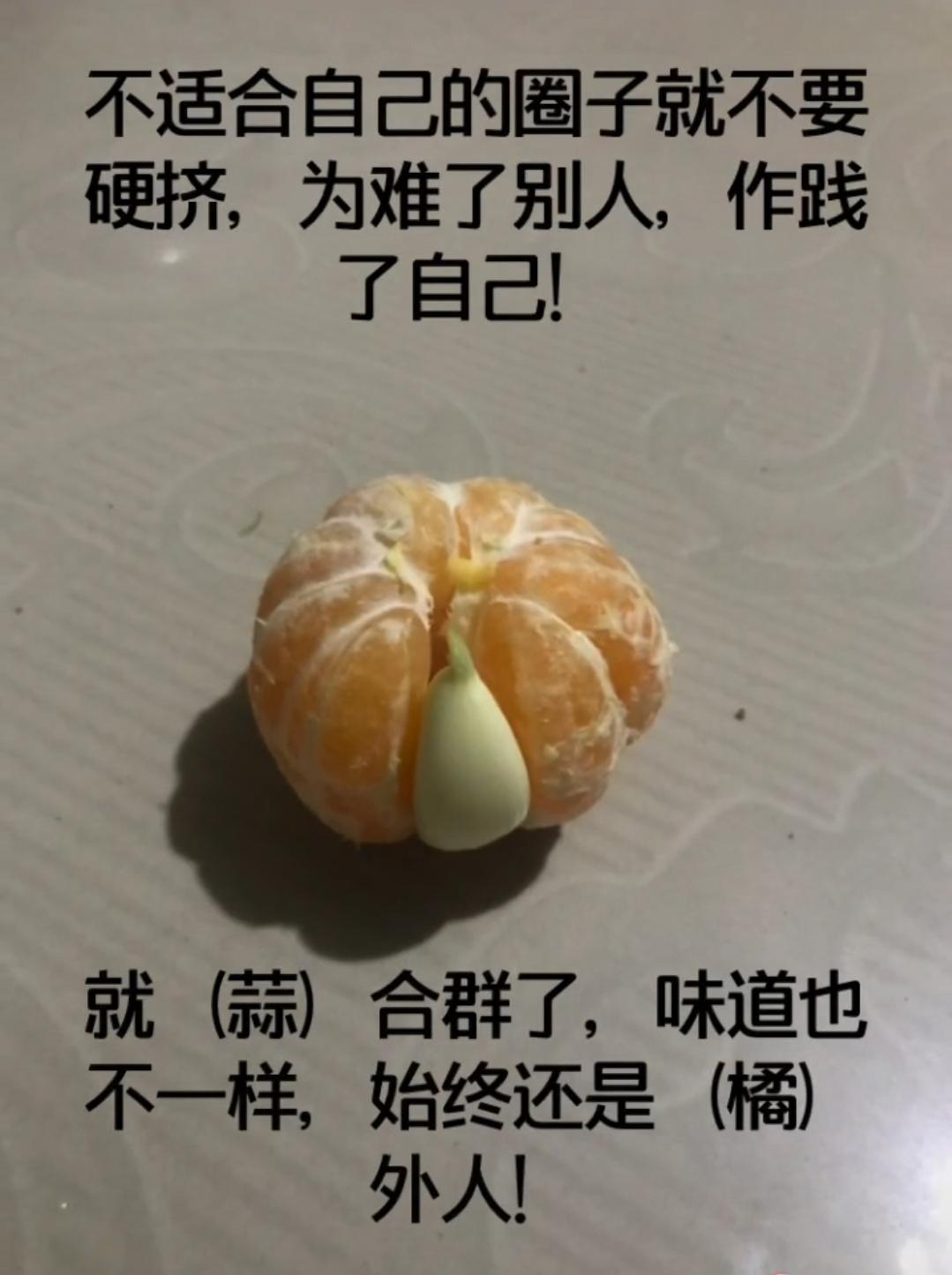 不适合自己的圈子就不要硬挤，为难了别人，作践了自己 