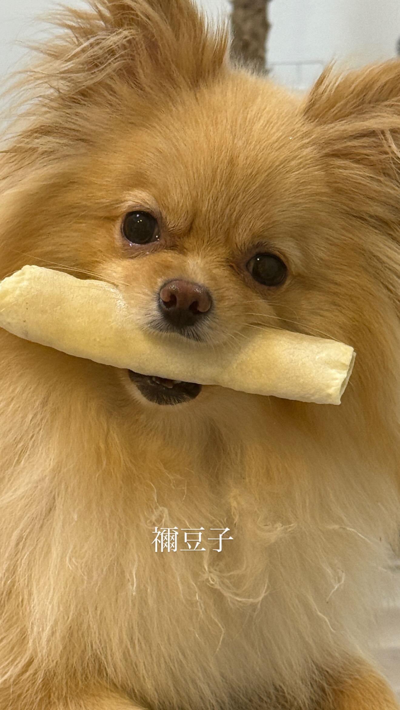 大沼晶保🐟numagram ​​​