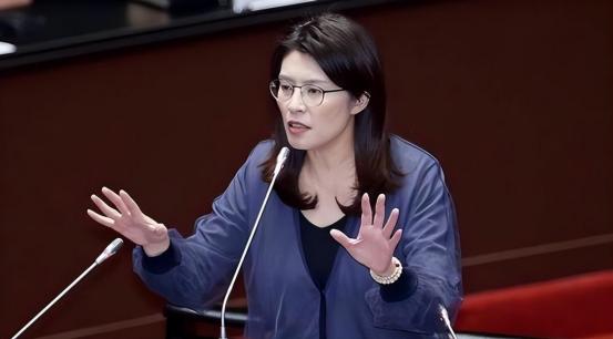 台湾蓝营正式亮底牌！郑丽文公开表态拒绝“一国两制”，不再暧昧闪躲，这一拳究竟砸向