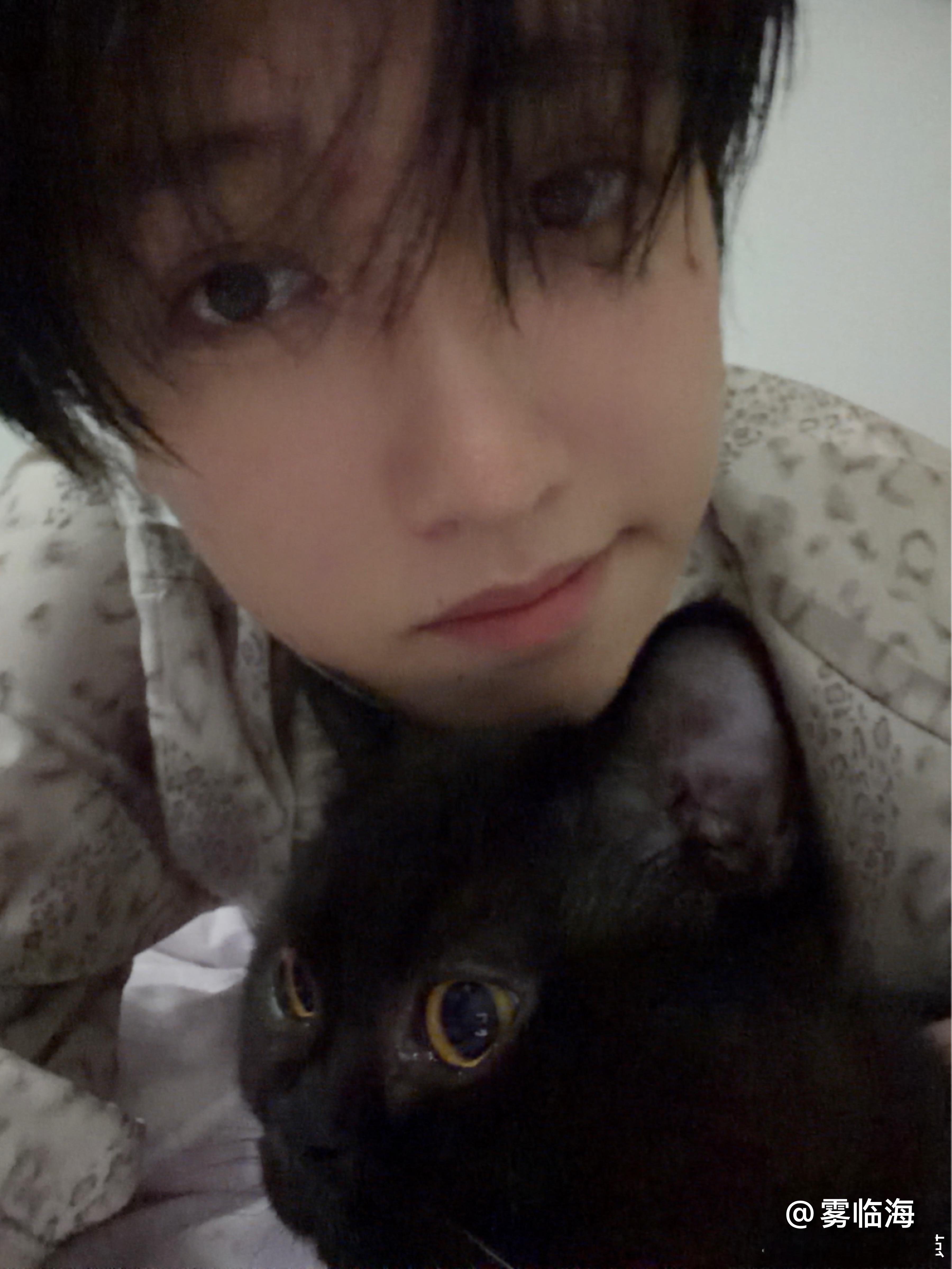我有三只小猫(˵>ㅿ<˵)♡ 