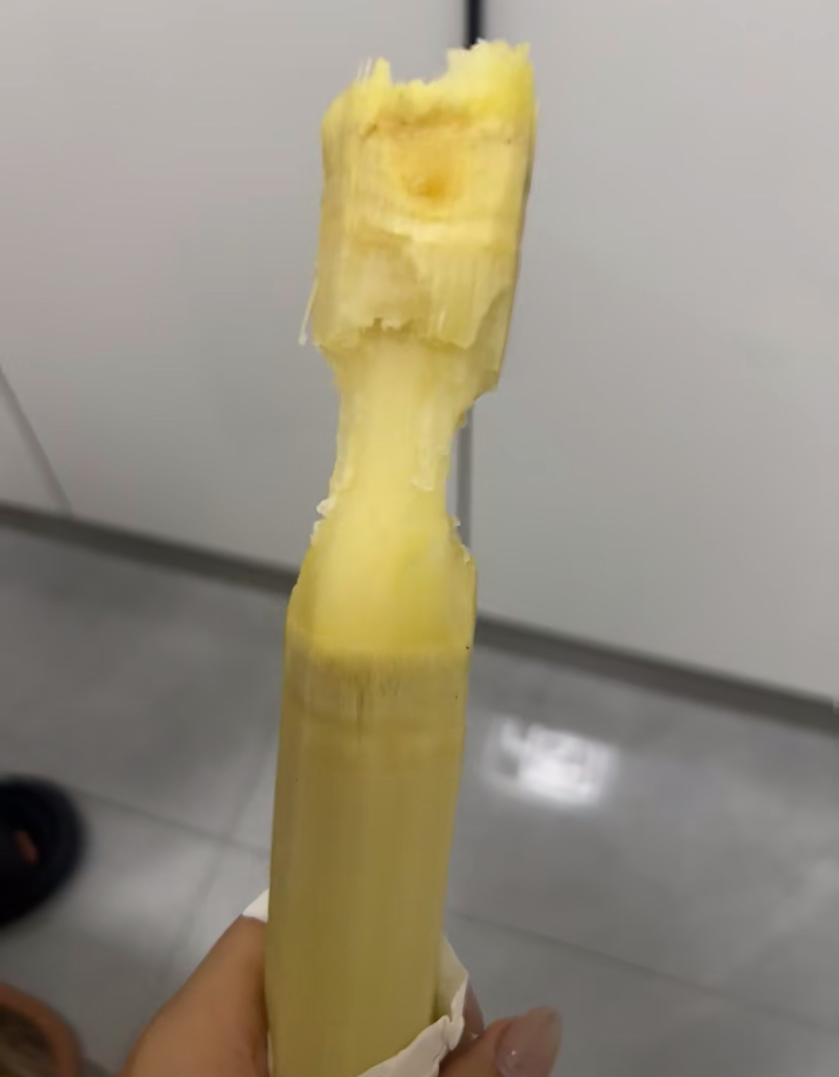 谁教你这样吃甘蔗的万万没想到甘蔗还有花式吃法，脑洞操作层出不穷，打破固有认知，奇