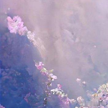 每天进步一点点，每天创造一点点，每天做事多一点，愿你事事都领先，卓越成绩现眼前，