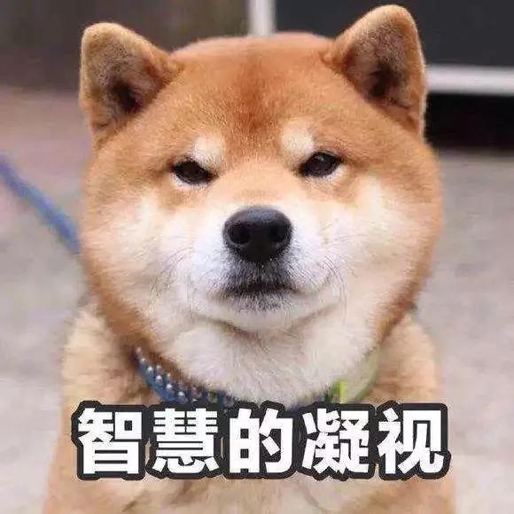 改主意了！西班牙是世界杯冠军！
专业的问题不谈，只看夺冠赔率。
1.61比2.3