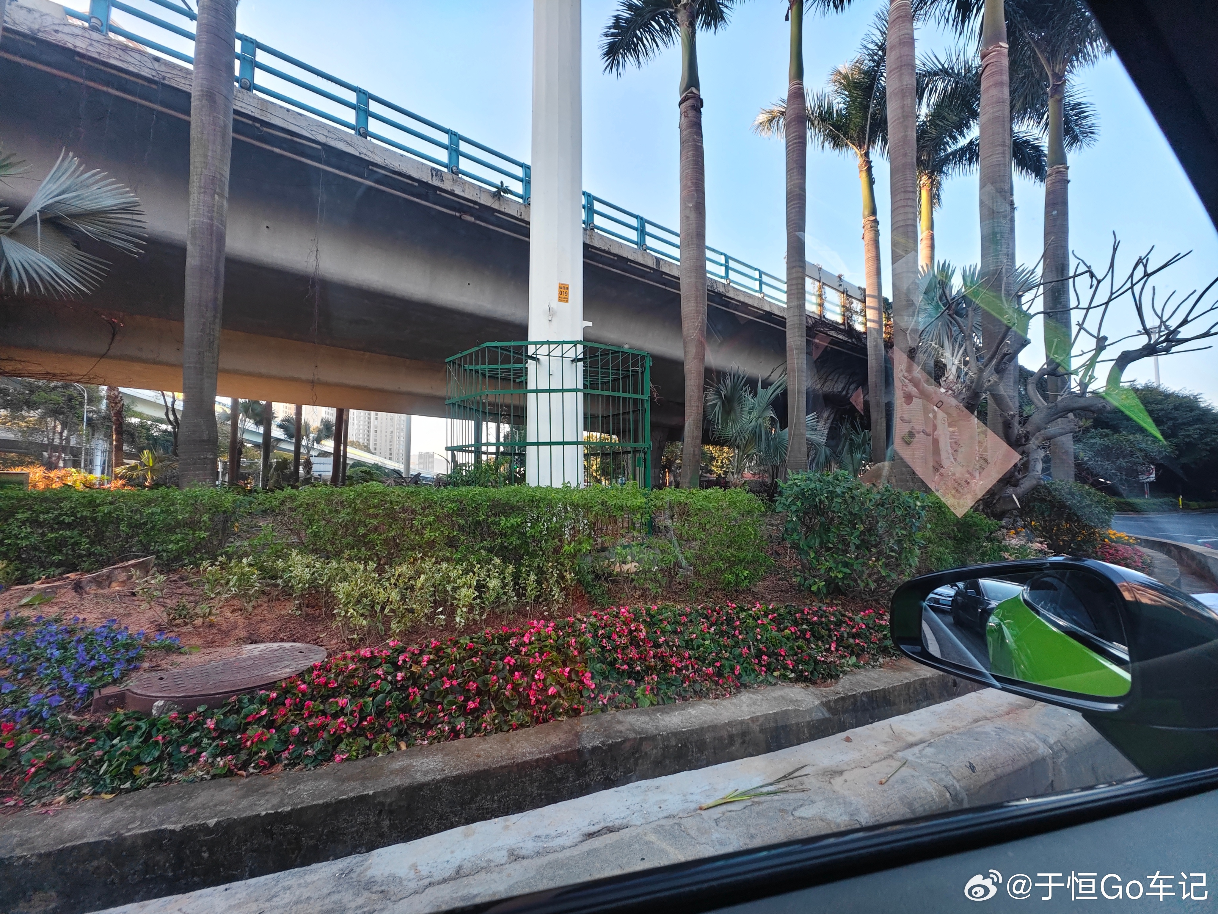 仙岳路金山交接这个圆盘位置树砍光了，这一下感觉视野都开阔了 