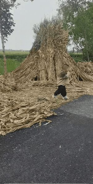 两个姐姐不带弟弟玩，在路边开心的玩起打羽毛球的这个运动，弟弟站在路边气不过呀，捡