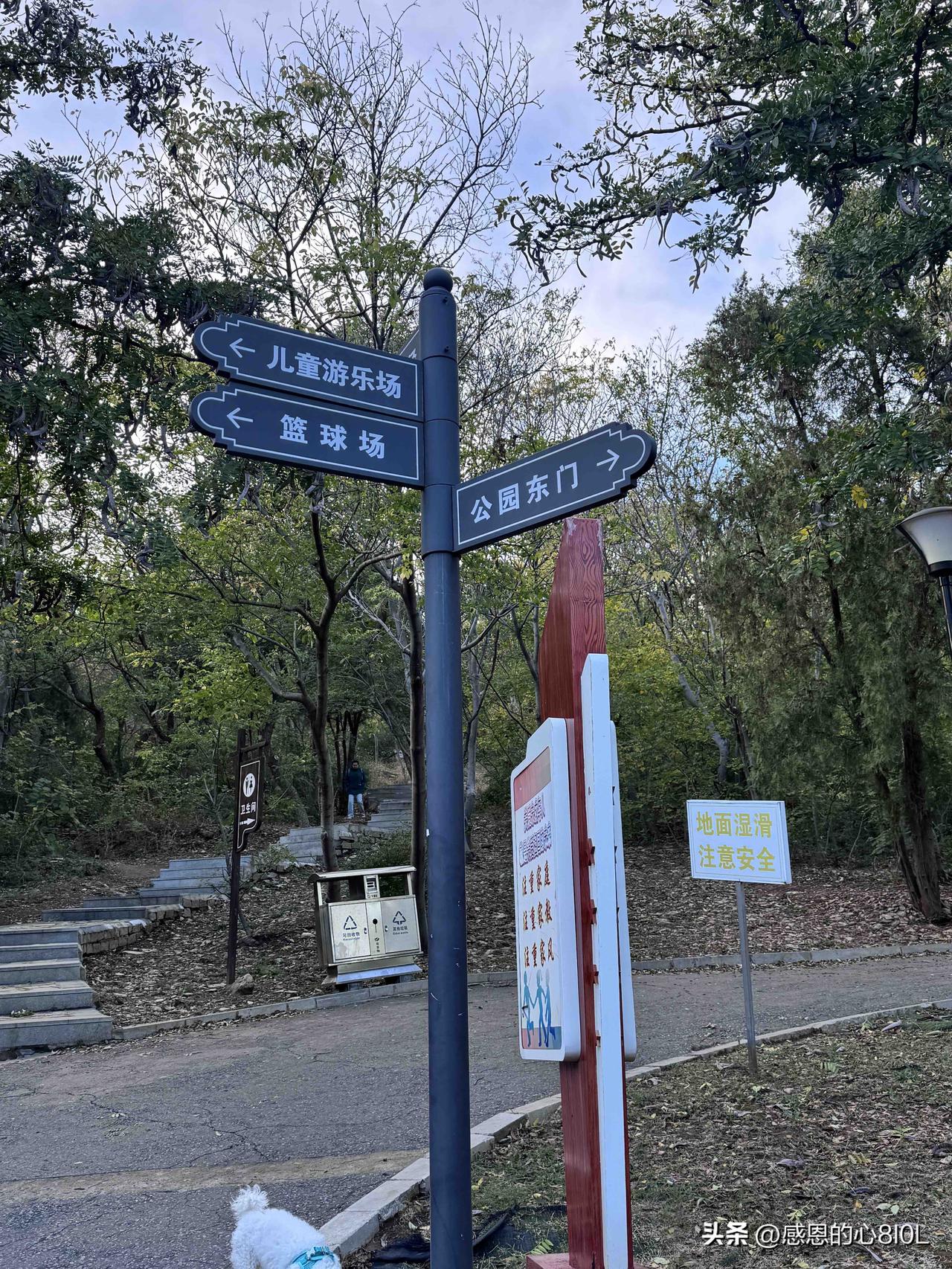 60岁的单身老年人需要找个伴吗?
60岁了，
找老伴儿这件事一定要慎重。

有人
