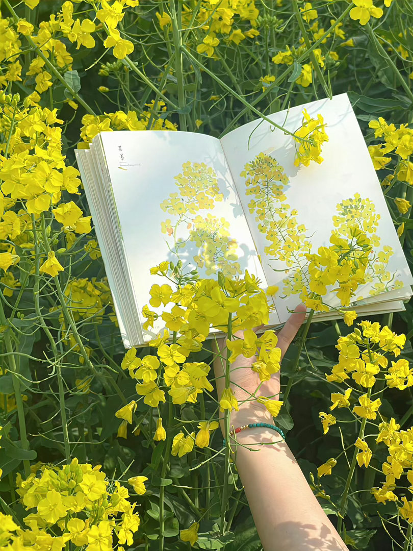 说实话，我昨天就想退出了，安心定投纳指，做点安稳的事儿。A股短期也指望不上，还是