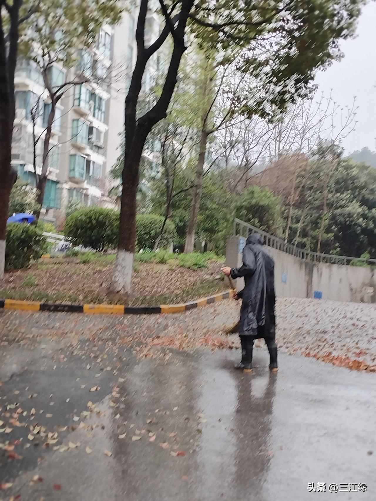 保洁师傅一句话让我若有所思，仿佛我也看到了希望。

早上雨一直下，我正出门，路上