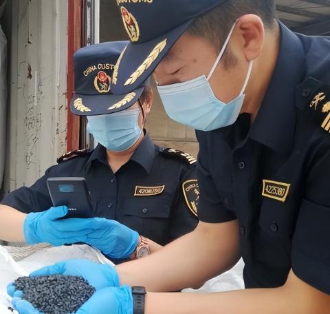 难怪美国一点不慌，原来真有内鬼输血！我们1200吨战略物资被内鬼悄悄贱卖

前些