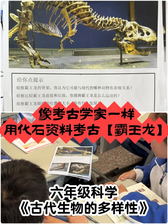 🤣霸王龙的狩猎方式竟也能用【模拟实验】猜出