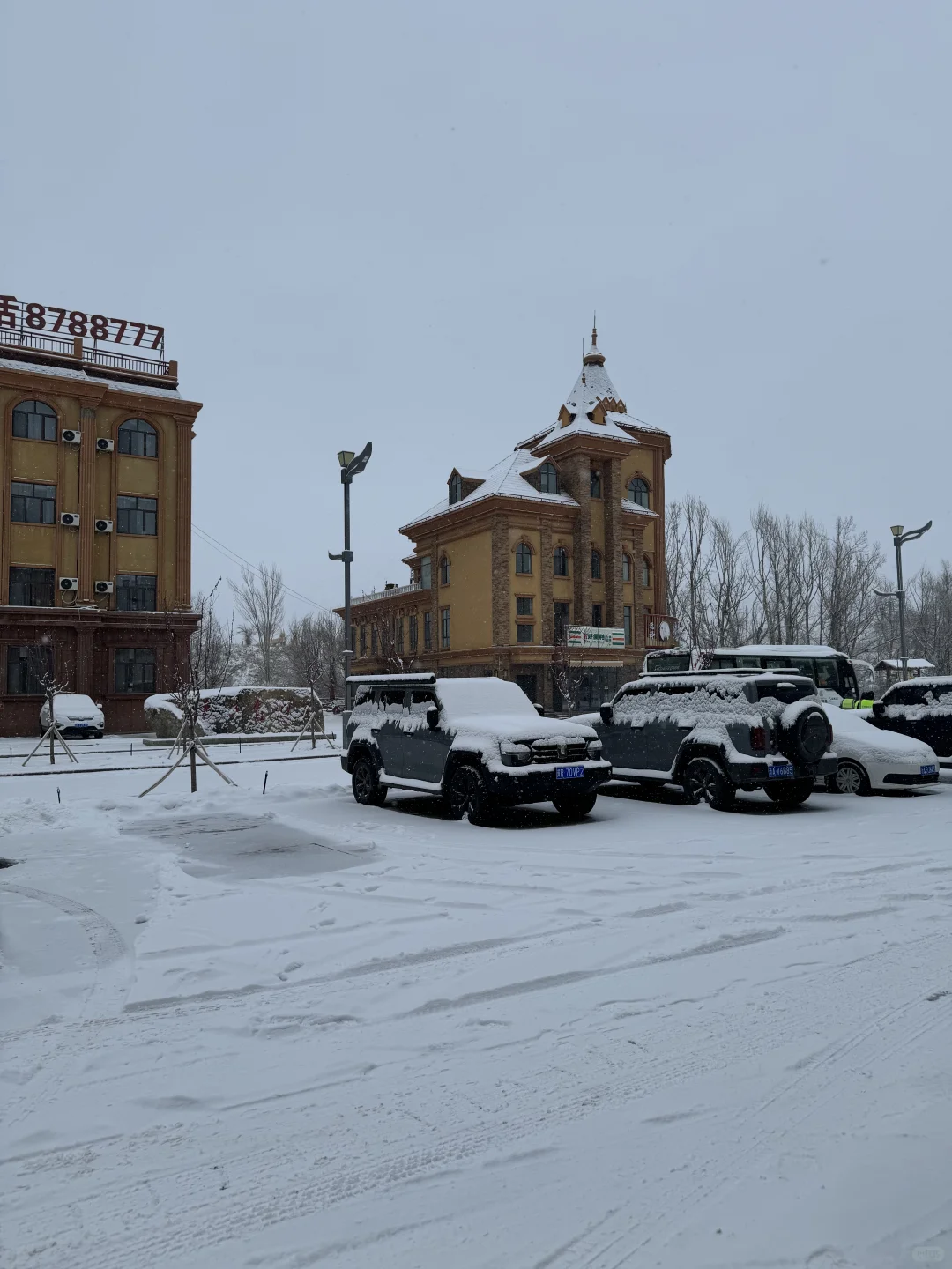 每天都在大暴雪的可可❄️又美又冷