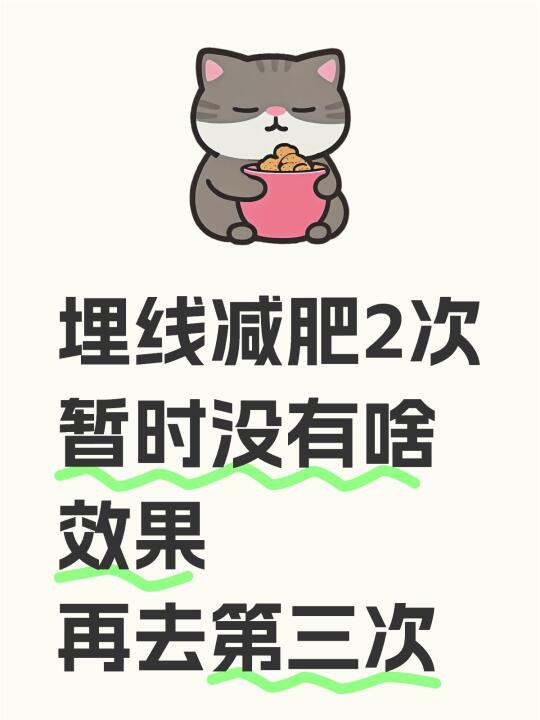 埋线减肥2次 暂时没有啥效果 再去第三次