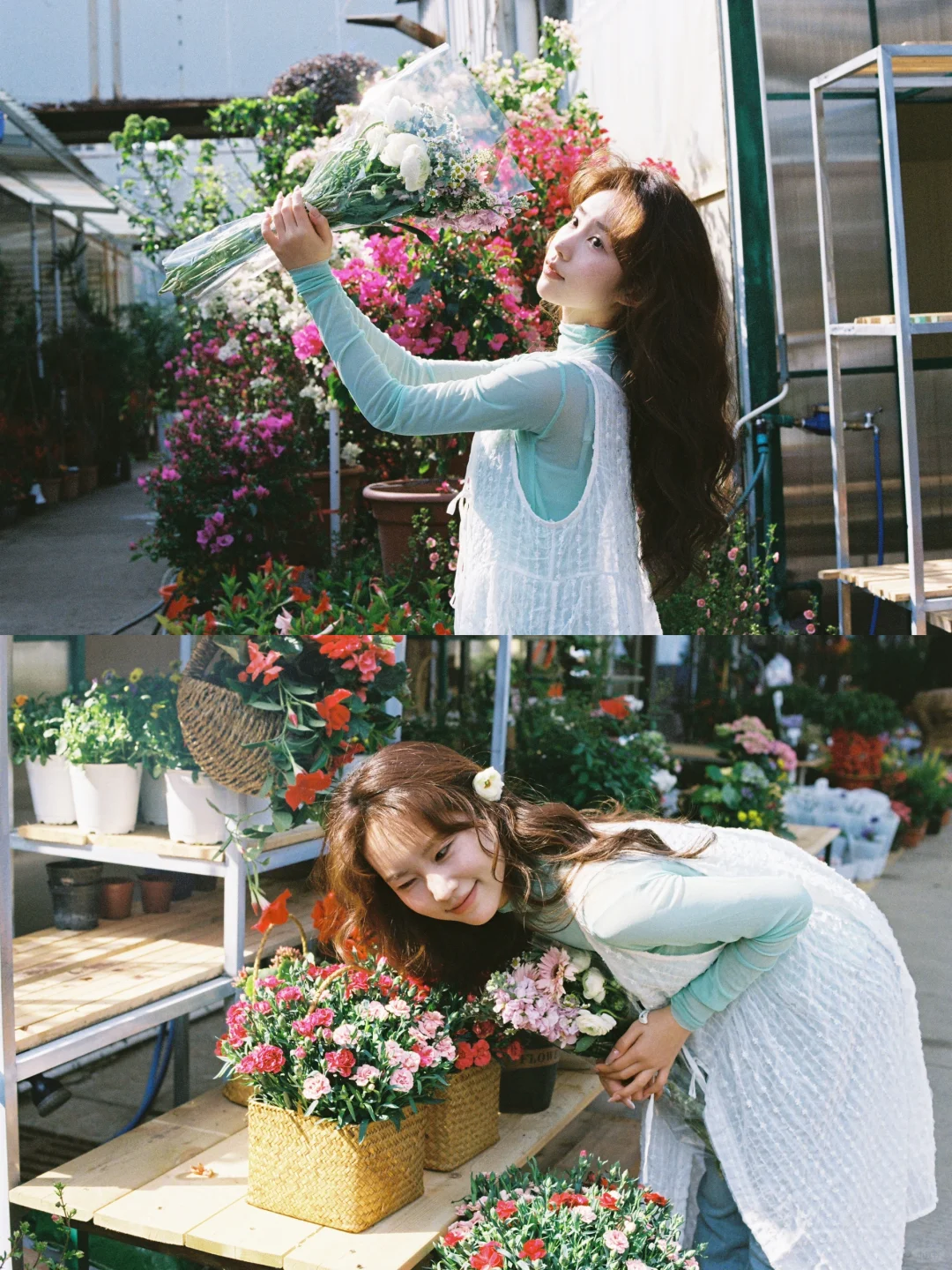 存一些花鸟市场拍照姿势💐