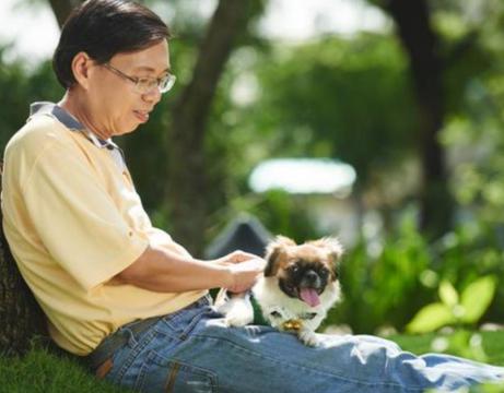 北京养犬新规来了！虐待犬只或犬只伤人造成严重后果的，拟终身禁养！

7月29日，