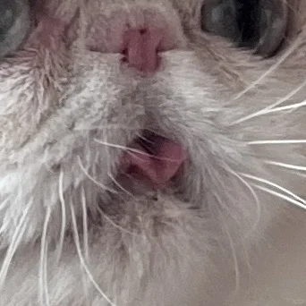 发射小心心♥️