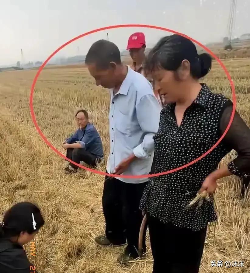麦收抢时间，农机师傅却因“地亩纠纷”被卡住，背后的矛盾到底值不值得？湖北一位老人