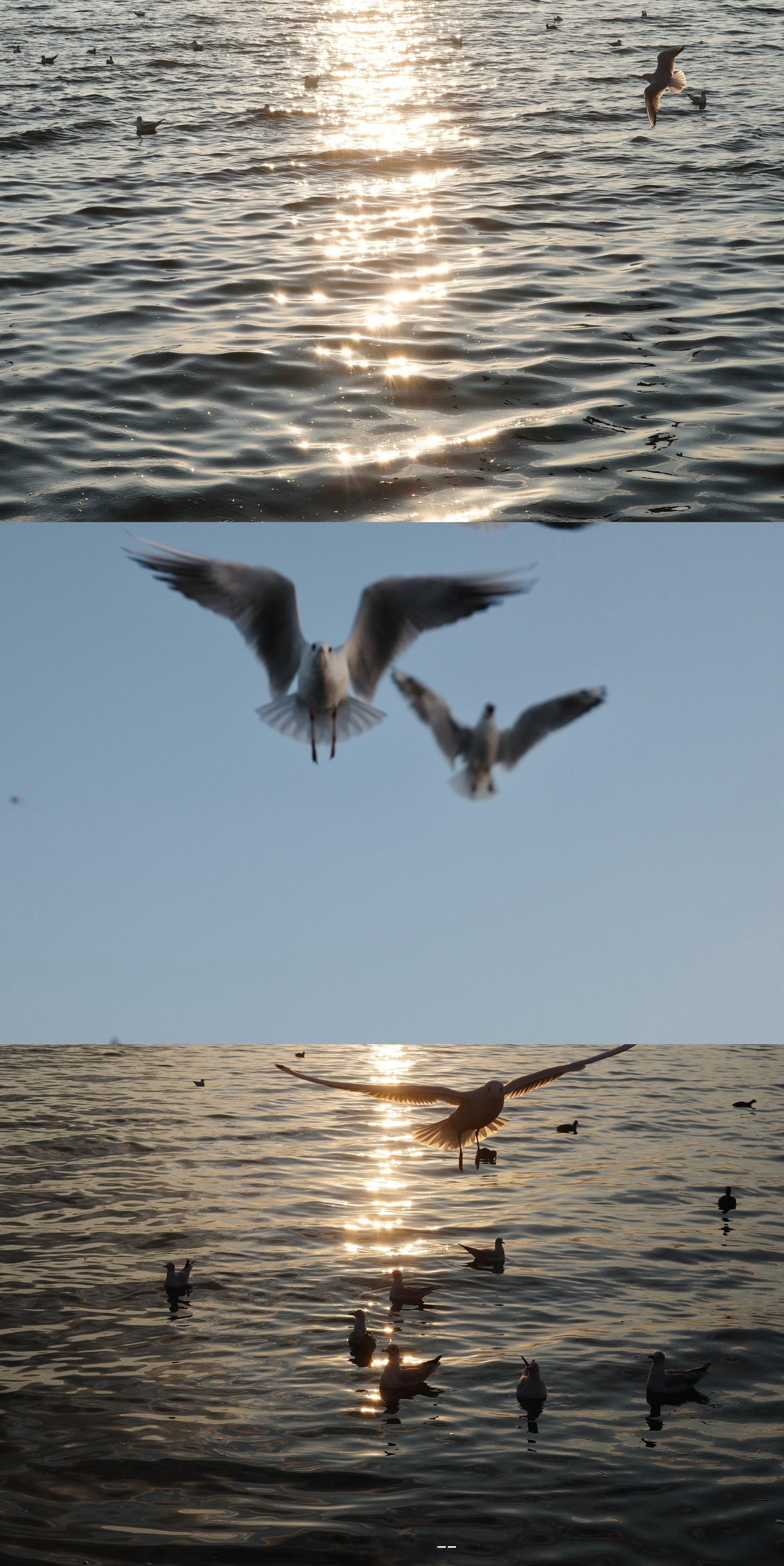 在大理生活的第三年 是时候说再见了～我想 我会在以后每一个平淡的日子里怀念你 期