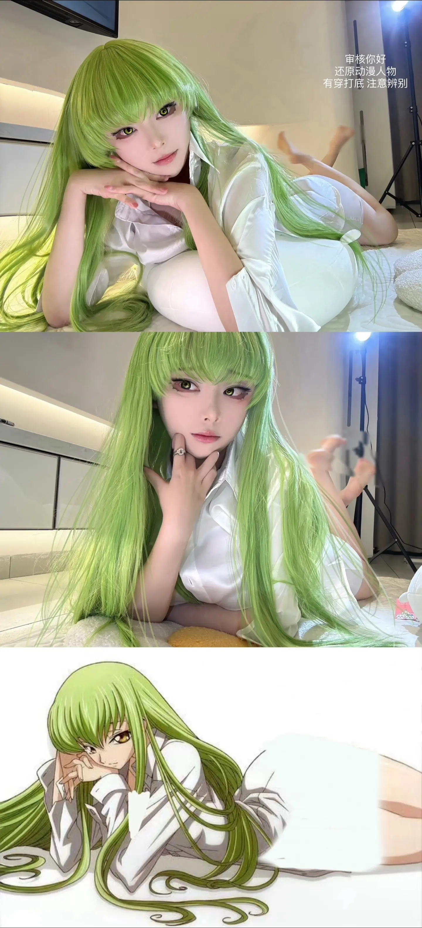 我成为你的盾，我们是共犯不是吗。