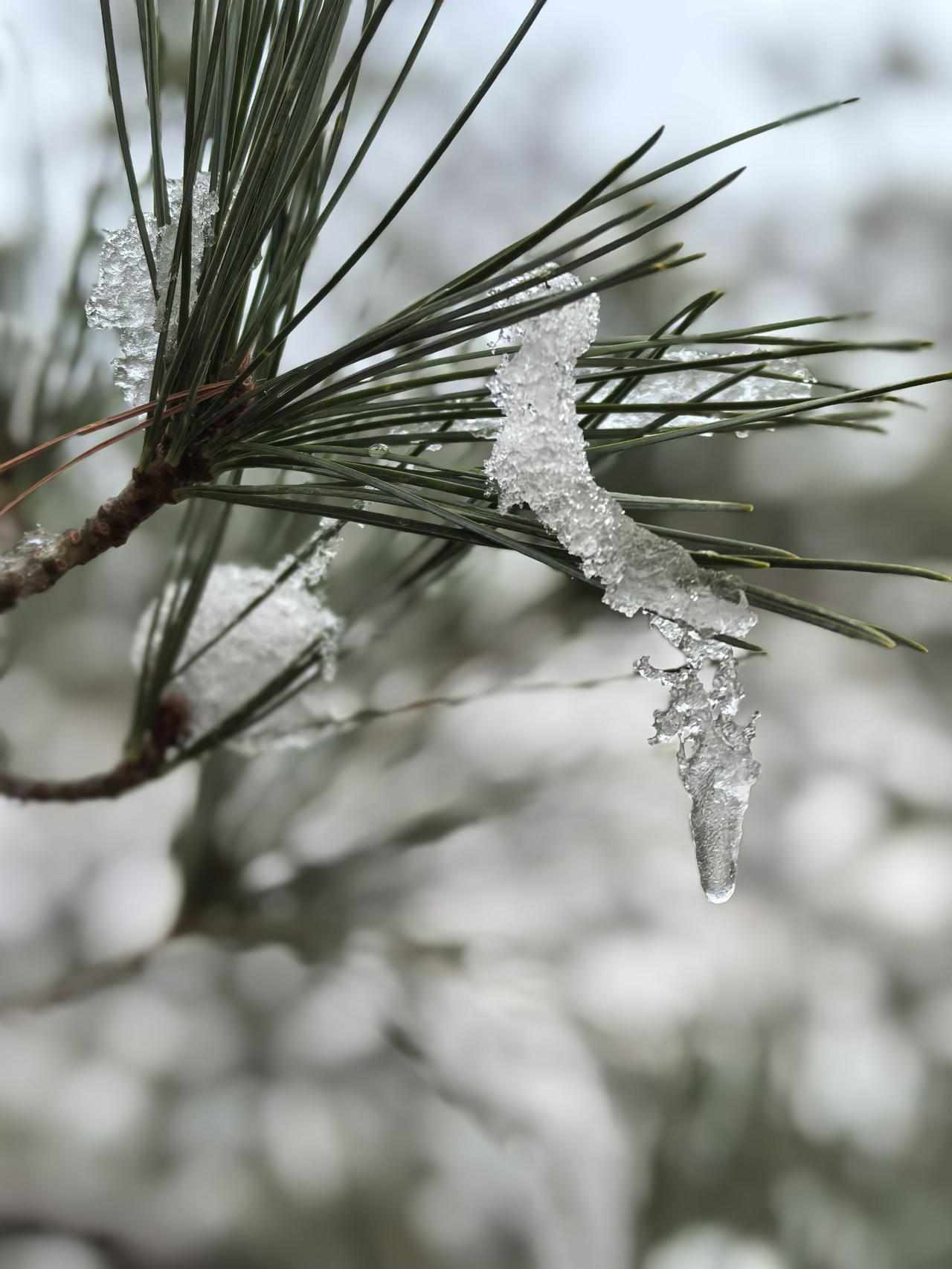 高考英语降分、学制缩至10年：教育改革要算“平衡账”
 
全国政协委员的两项教育