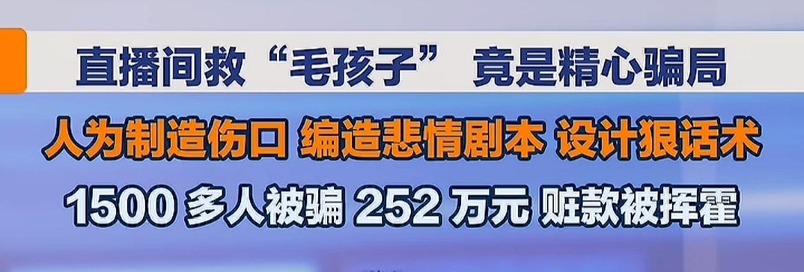 表面上是救猫救狗，实则是骗财！

看到一个新闻，公安机关破获了一起骗局，打着救护