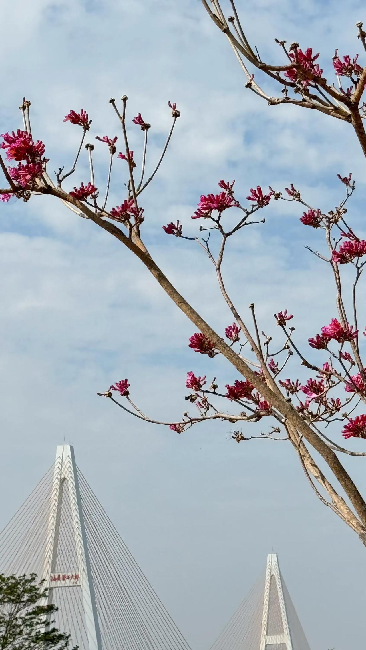 马年的磁场格外奇妙，那些素未谋面的共鸣、隔空传递的欢喜，都将迎来最温柔的回音。