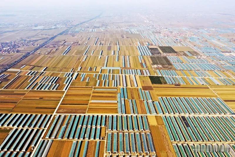 为什么中国菜价能这么便宜 为何中国菜价如此便宜
中国菜价便宜
是多方面因素共同作