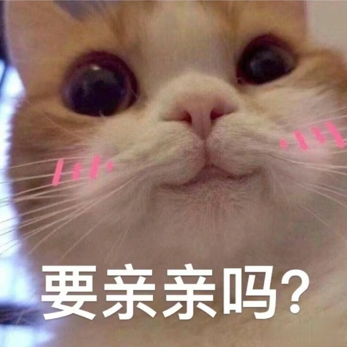 一年一度的凉凉亲俊日又双叒叕到了子俊哥哥 来亲亲