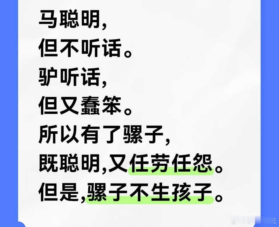 鸡汤 ​​​