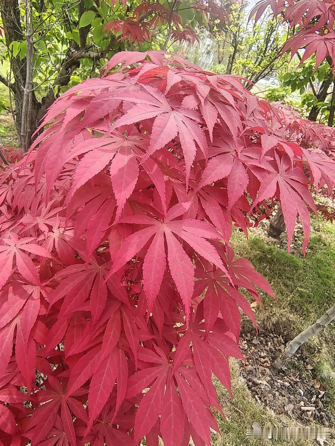 金钱除外，当下人们最缺的是人民币，因为世上百分之九十以上的事都是可以用金钱解决的