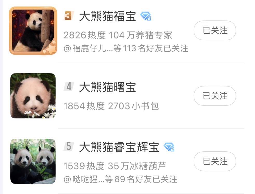 💛💜🩷🩵四闺女在一起 ​​​