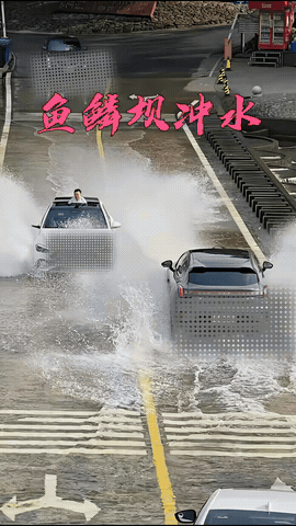 视频中，一辆白色奔驰轿车，车内的孩子把头伸出了天窗，车主想加速通过这座水桥，让孩