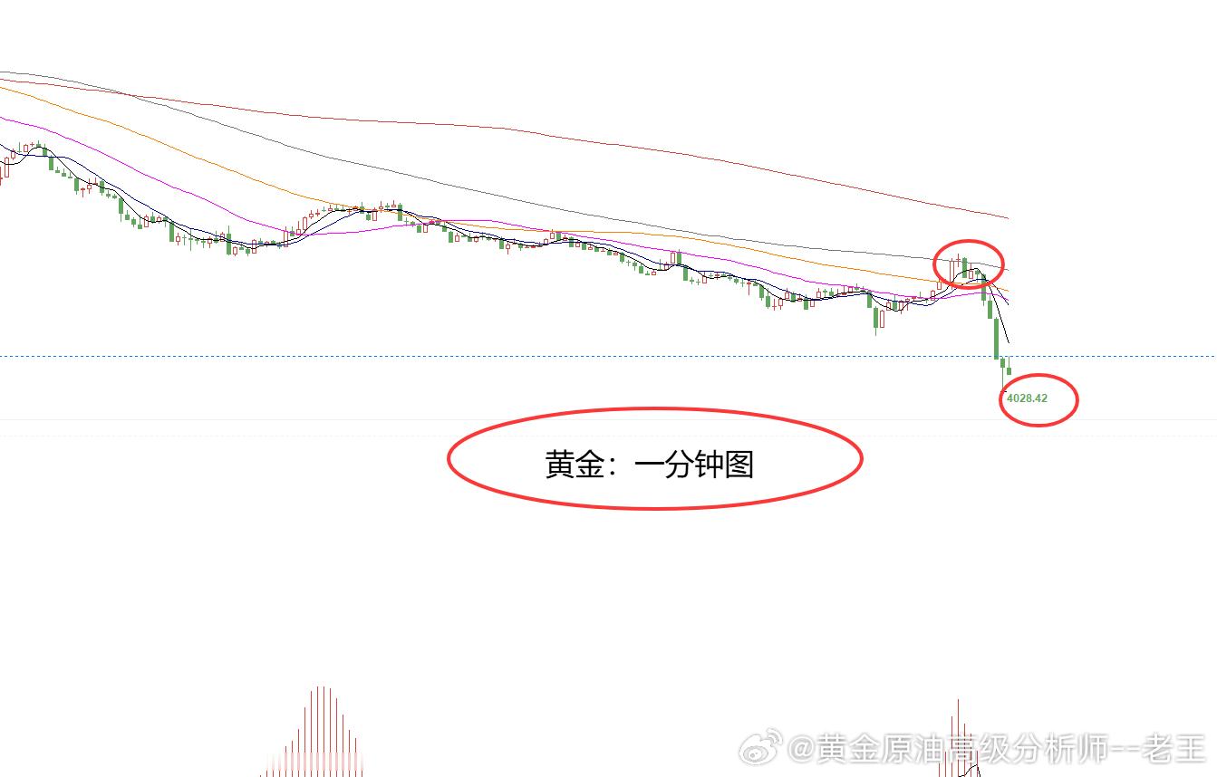 提前布局黄金4049位置空，现报4028位置已有210个点，博文跟随者先撤！时间