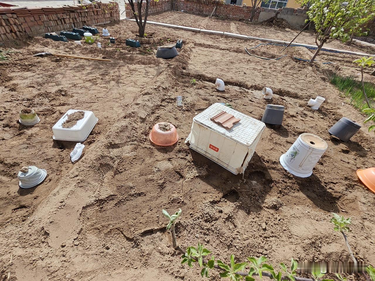 吃点儿菜不容易啊！
网购的菜苗昨天刚栽下，今天风有点儿大，为了确保它们能顺利缓苗