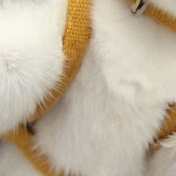 杨幂每日一善 🌞阳光信用 【晚安】脚踏实地，比什么都重要，天下没有不劳而获，更